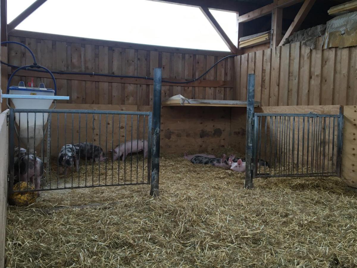 Ferienwohnung Auf Dem Bauernhof Cottbus Kültér fotó