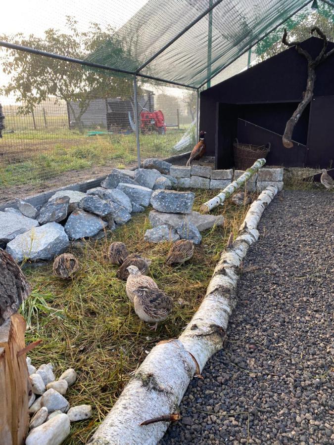 Ferienwohnung Auf Dem Bauernhof Cottbus Kültér fotó